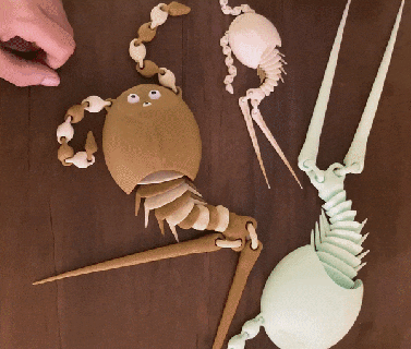 Riese Reise Spielzeug drucken Ort niedlich Spaß artikuliert klein Stress Tier Krabbe Wissenschaft Biologie 3d print model - Mito3D