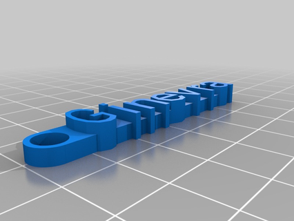 ginevra personalizzato organizzazione 3d print model - Mito3D