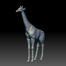 Giraffe Tier Säugetier Savanne Afrika wild Dschungel Natur 3d print model - Mito3D