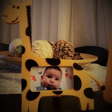 giraffe photo frame home gold decoration animal 3d print model - Mito3D