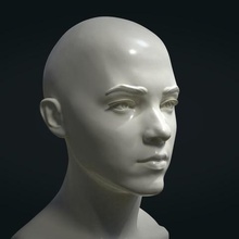 girl head art young woman beauty pretty manikin human anatomy 3d print model - Mito3D