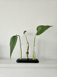 vaso plantador tubos base florero hogar casa decoración planta maceta tubo agua 3d print model - Mito3D