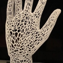 glove dryer art voronoi hand arm 3d print model - Mito3D
