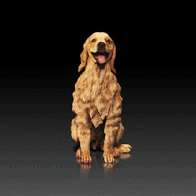 golden Retriever Hund Rasse Eckzahn 3d drucken Modell goldenretrieverdog Tier Haustier Bullterrier 3d print model - Mito3D
