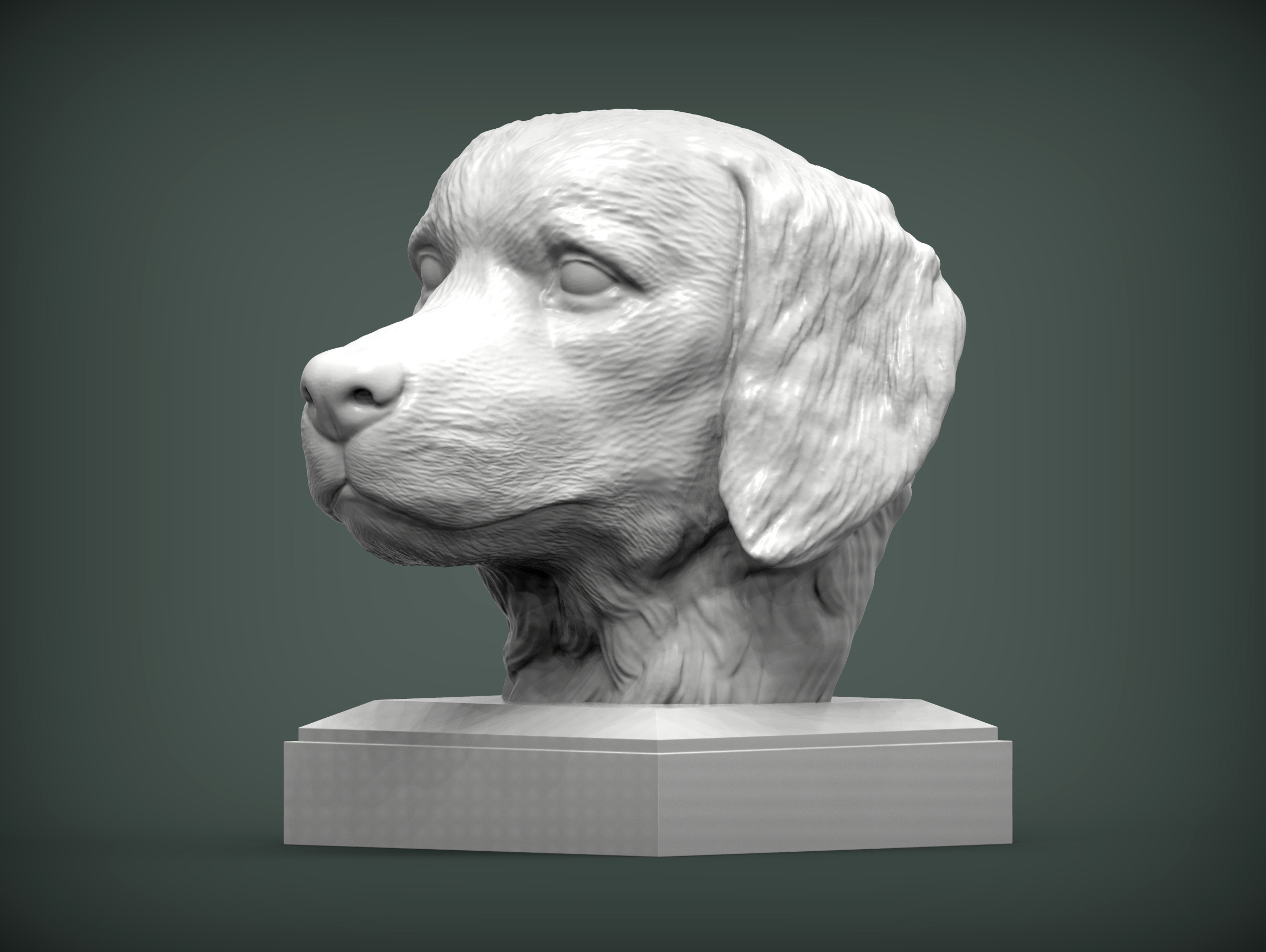 altın av köpeği 3d Yazdır model köpek doğa memeli hayvan Evcil Hayvan heykel heykelcik hatıra mevcut şekil vermek Sanat heykeller yazdırılabilir büst 3D print model - Mito3D