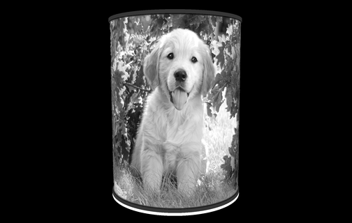 dorado perdiguero lámpara litofanía Encendiendo LED ligero película animales animal perro 3d print model - Mito3D