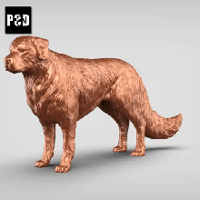 golden retriever v1 art dog animal toy pet figurines 3d print model - Mito3D