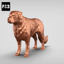 d'or retriever v3 art chien animal jouet compagnie figurines 3d print model - Mito3D