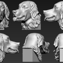 golden retriever a arte cabeça cão dragão jogo fantasia brinquedo animais 3d print model - Mito3D