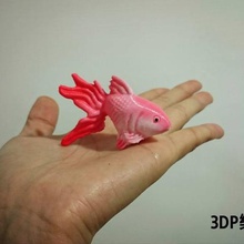 le poisson rouge divers 3d print model - Mito3D