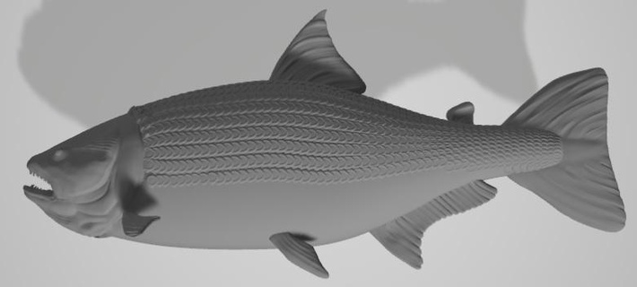 peixinho dourado peixe pescaria ouro 3d print model - Mito3D