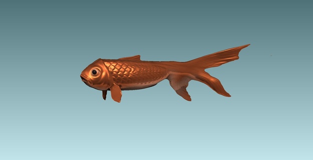 peixinho dourado carassius auratus peixe imprimível aquário mar oceano água ciprinídeos aquático 3d print model - Mito3D