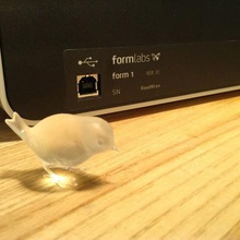 iyi wren oyun hayvan kuş şekil meshmixer doğa koy hayvanlar 3d print model - Mito3D