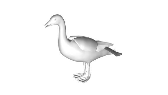 Kaz goose hayvan deniz doğa 3d print model - Mito3D