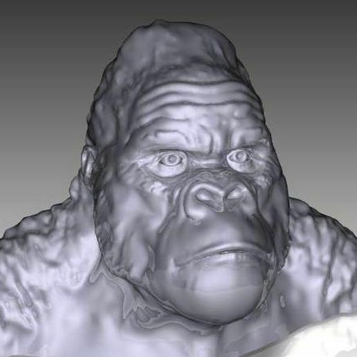 gorilla fallimento sculture 3D print model - Mito3D