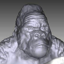 Gorilla Büste Skulpturen 3d print model - Mito3D