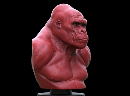 goril büst Sanat kral kong Monke doğa figürinler anatomi yaratık Godzilla şempanze heykeller maymun hayvan minyatürler koleksiyon 3d print model - Mito3D