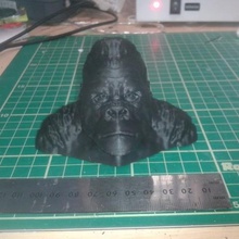 gorilla bust various monkey ape 3d print model - Mito3D