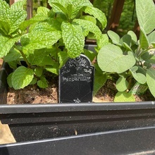 goth garden stake gravestone herbs 3d print model - Mito3D