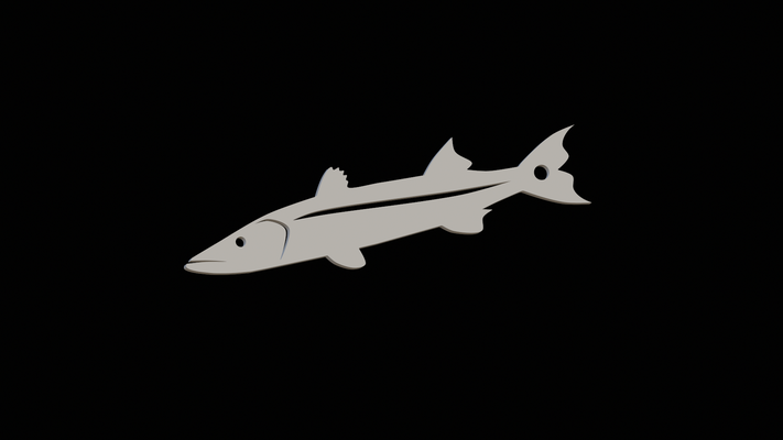 grande barracuda sphyraena pesce 2d portachiavi pendente arte trofeo pesca squalo pertica lucioperca carpa gatto luccio basso trota tonno salmone adescare esca statua animale cernia 3d print model - Mito3D