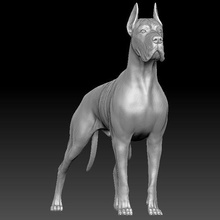 ótimo dinamarquês cão 3d impressão animal escultura anatomia francês buldogue rottweiler pitbull shih tzu labrador pug dachshund maltês 3d print model - Mito3D