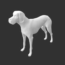 Dogge verschiedene Hund Tier 3d print model - Mito3D
