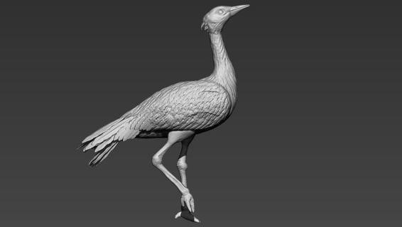 great indian busturd animal zbrush toy art creatures bird great indian busturd  3d print model - Mito3D