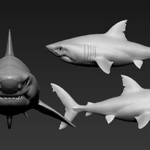 grand requin blanc art les miniatures d'impression mignon la nature animaux tête chien de dragon jeu fantaisie jouet animal 3d print model - Mito3D