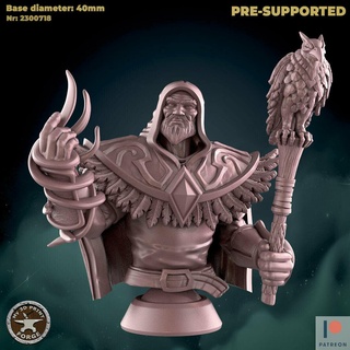 great wizard bust fantasy warcraft dnd miniature stl presupported model resin wow karazhan dungeon raid boss medivh mage druid sorcerer 3d print model - Mito3D