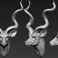 o grande kudu a arte miniaturas imprimir bonito natureza animais cabeça cão dragão jogo fantasia brinquedo 3d print model - Mito3D