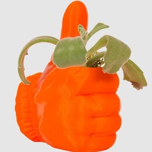 green thumb planter home hand 3d print model - Mito3D