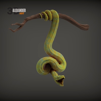 grün baum python 3d drucken modell kunst schlange reptil offener mund gedruckt zahl tier raubtier kreatur realistisch leder wildnature biologie zoologie natur skulpturen 3d print model - Mito3D