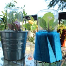 greenhouse mini diy home decor garden ortalize plants hotbed seeds 3d print model - Mito3D