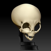 gris extranjero cráneo v2 base art el rebaño 3d print model - Mito3D