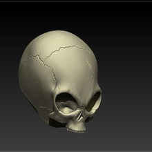 cinza alienígenas do crânio a arte busto et ufo alien rebanho 3d print model - Mito3D