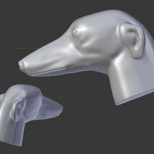 levriero animali cane cani testa scultura sculture 3d print model - Mito3D