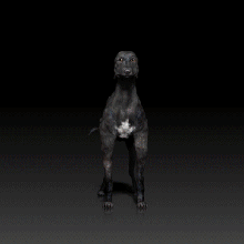 levriero cane razza canino 3d Stampa modello animale domestico 3d print model - Mito3D