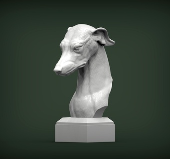 galgo perro 3d impresión modelo busto naturaleza mamífero animal mascota escultura estatuilla recuerdo presente esculpir Arte esculturas estatua imprimible 3d print model - Mito3D