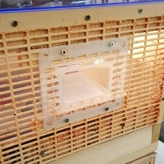 grid asian hornet trap Home 3d print model - Mito3D