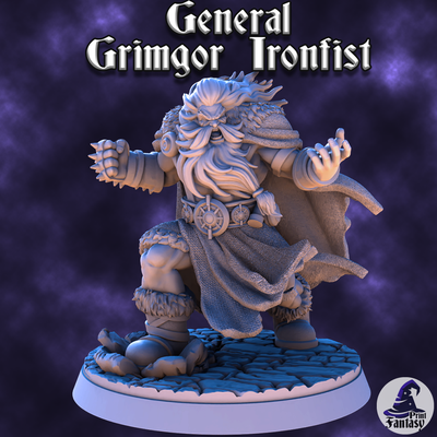 grimgor - chaos & order v1 game kickstarter 3d 3dmodel 3dprint stl 3dprinting elves fantasy girl models rks3d miniatures dnd painting tabletop tabletopgaming collectors magic assassin sorcerer 3d print model - Mito3D