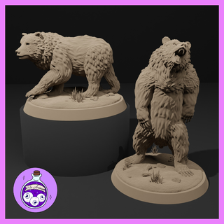 grizzly ours marron noir polaire familier forme sauvage druide ranger bête monstre créature animal ttrpg dnd donjons Dragons miniature éclaireur 3d print model - Mito3D