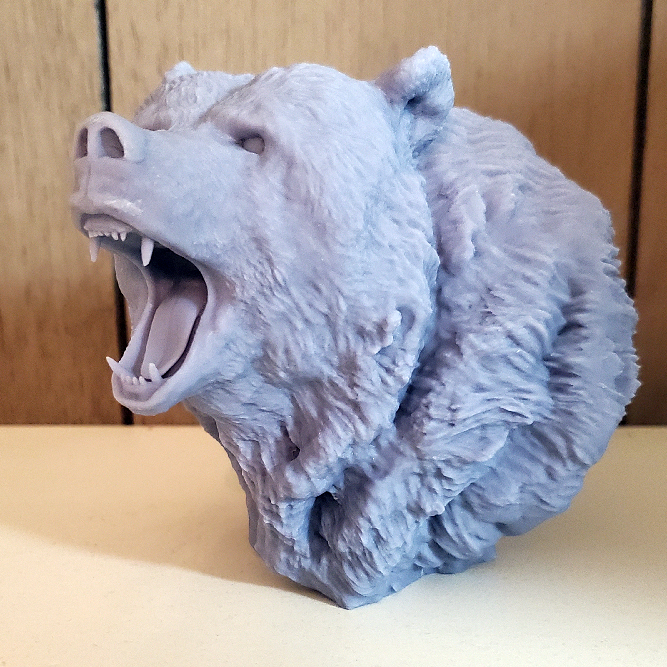 urso pardo Urso cabeça 1 peça animal 3D print model - Mito3D