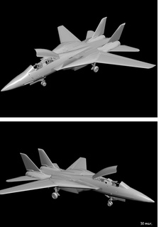 grumman f 14 micio getti aeromobili modellazione 3d print model - Mito3D