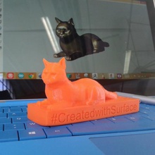 grumpy cat Spiel 3d print model - Mito3D