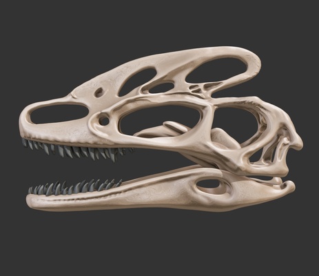 guanlong cr ne en 3d arte dinosauro th corda tac chine tirannosauridi tes ossuto fossili voluzione petit agile pr data ammaccature primitivi formazione xinjiang r geme cibo morfologia diversità tirannosauri 3d print model - Mito3D