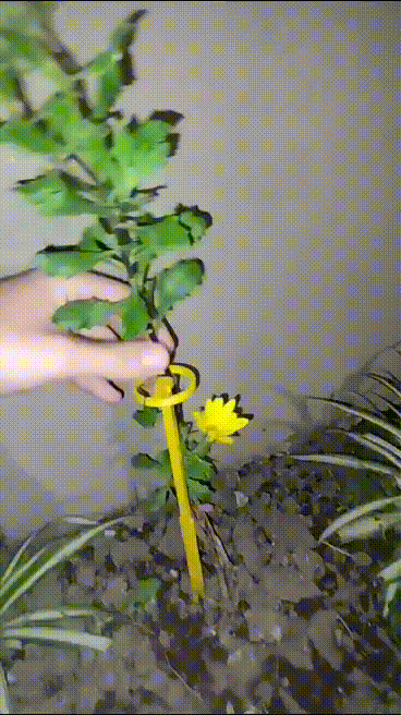 guia plantar sutiã tutor jardim jardinagem Relva ar livre linha reta plantado vegetal 3D print model - Mito3D