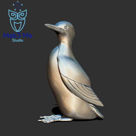 guillemot solo version bird abc fbx mtl obj stl northern hemisphere alcids 3D print model - Mito3D