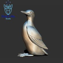 Guillemot solo version oiseau abc fbx mtl obj stl nord hémisphère alcidés 3d print model - Mito3D