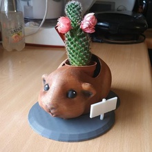 guinea pig flower pot fleurs cochon dinde home decor stand pet pathfinder gift 3d print model - Mito3D