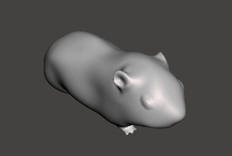 Guinea cerdo animales mascotas roedor 3d print model - Mito3D